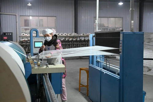 全國市場份額占比百分之六十 產品出口二十多個國家 荊州苧麻產業 成長記