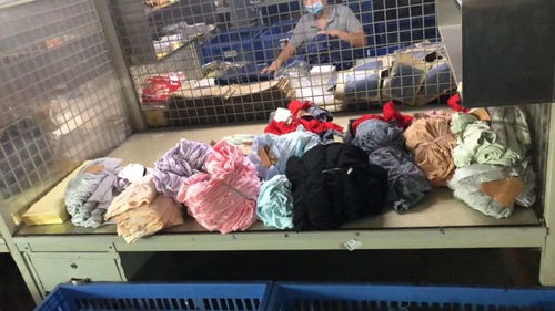 走訪中山市寶路易服飾 品質(zhì)與創(chuàng)新的時尚領(lǐng)航者